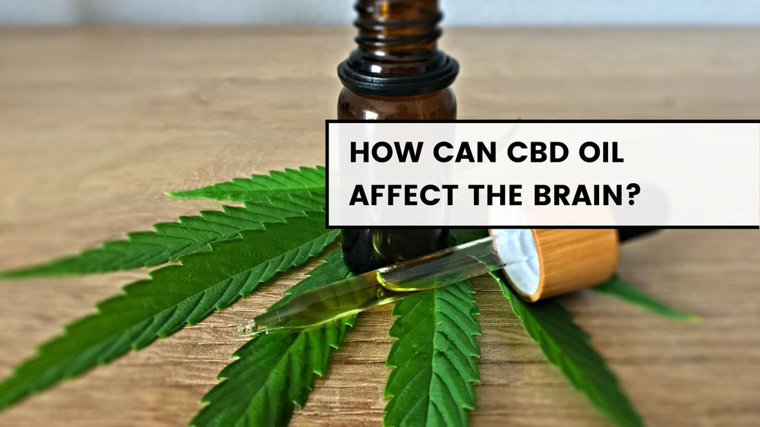 How can CBD oil affect the brain?